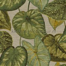 Tropical leaves papel pintado Hookedonwalls Tahiti TA25052