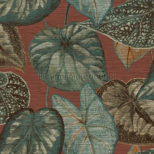 Tropical leaves behang TA25053 Exotisch Hookedonwalls