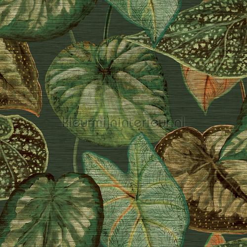 Tropical leaves behang TA25054 Exotisch Hookedonwalls