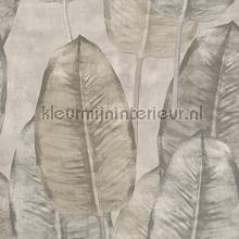 Rubber tree papel pintado Hookedonwalls Tahiti TA25080