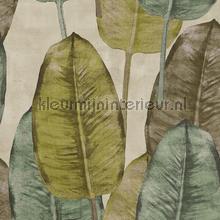 Rubber tree tapeten TA25081 Modern - Abstract Hookedonwalls