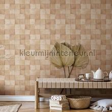Hookedonwalls Terra Cotta wallcovering