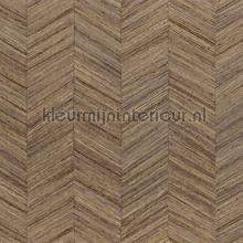 Ocotea sepia papier peint Casamance stress 
