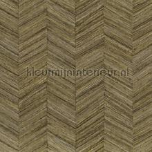 Ocotea kaki papier peint Casamance stress 