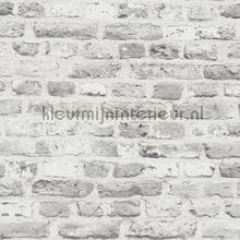 Oude stenen muur behang AS Creation Industrieel 