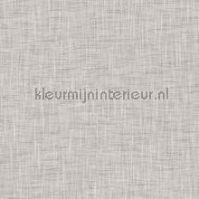 Arlequine mushroom papier peint Hookedonwalls stress 