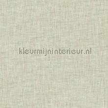 Arlequine sage papier peint Hookedonwalls stress 