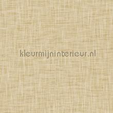 Arlequine sahara papier peint Hookedonwalls stress 