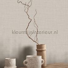 Taupe tapet Casadeco Tweed TWED85472446