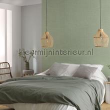 Lichen tapet Casadeco Tweed TWED85477345