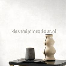 Stone blanc tapeten Casadeco Twenties TWNT80830101