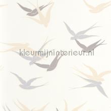 Swallow blanc neige wallcovering Casadeco Vintage- Old wallpaper 