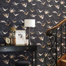 Swallow noir reglisse wallcovering Casadeco Vintage- Old wallpaper 