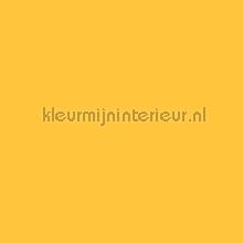 114892 klebefolie Bodaq alle bilder 