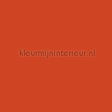 114893 klebefolie Bodaq alle bilder 