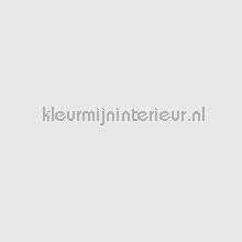 114899 klebefolie Bodaq alle bilder 