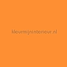 Uni helder oranje plakfolie Bodaq premium uni kleuren 