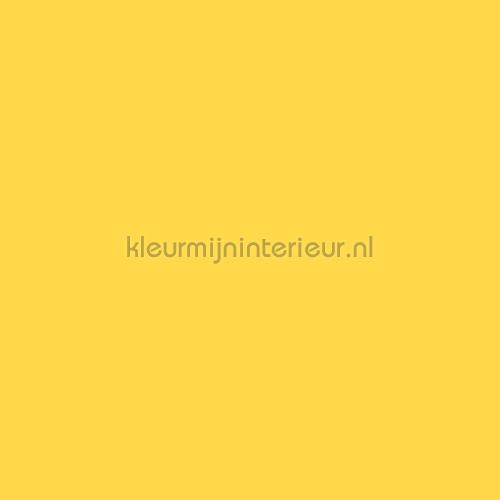uni hard geel feuille autocollante s188 unis Bodaq