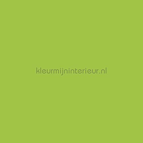 uni grasgroen feuille autocollante s189 unis Bodaq