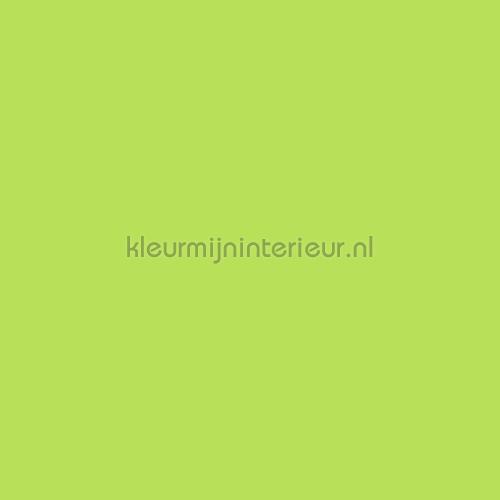 uni warm lime groen selvklaebende plast s219 uni plast Bodaq