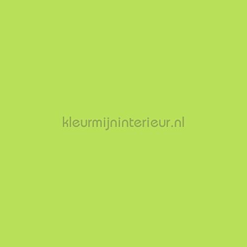 uni warm lime groen plekfollie s219 effe proffessioneel Bodaq