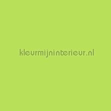 Uni warm lime groen plekfollie Bodaq premium metals 