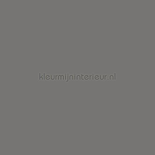 uni donker warmgrijs plakfolie s231 premium uni kleuren Bodaq