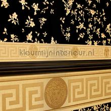 Borduere-medusa-motiv-gold papier peint Versace wallpaper spcial 