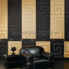 Borduere-medusa-motiv-schwarz papel pintado Versace wallpaper Vendimia Viejo 