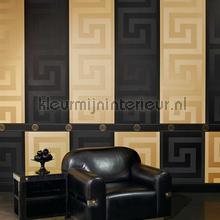 Borduere-medusa-motiv-schwarz behang Versace wallpaper randen 