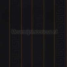 Streifenmuster-schwarz-gold behang Versace wallpaper klassiek 