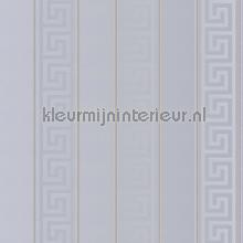 Streifenmuster-silber-grau-metallic wallcovering Versace wallpaper Vintage- Old wallpaper 