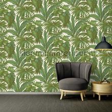Palmen-motiv-beige-gruen-metallic behang Versace wallpaper klassiek 