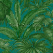 Palmblaetter-motiv-gruen wallcovering Versace wallpaper Vintage- Old wallpaper 