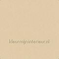 Uni-beige behang 383833 uni kleuren Motieven