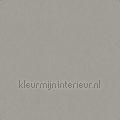 Uni-grau-meliert-mit-seidenmatt-finish behang 383835 uni kleuren Motieven