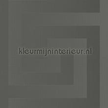 Griechischer-schluessel-metallic-grau behang Versace wallpaper Zoom 