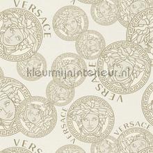 Medusa-logo-grau-metallic behang Versace wallpaper Versace 5 386103