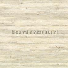 Elegante - une simple elegance behang Elitis Vestiaire masculin RM-1011-01