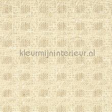 Gentleman - un raffinement naturel papel de parede Elitis Vestiaire masculin RM-1015-01