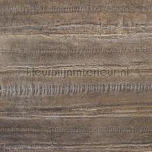 Anguille metal - une valeur supreme wallcovering Elitis wood 