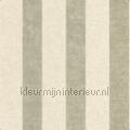 Valse vert de gris VIEN87516727 motivos