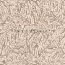 Danube taupe papier peint Casadeco stress 