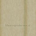 Volos Olive de Crete wallcovering VP 921 04 Volver Elitis