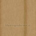 Volos Une rebelle sauvage wallcovering VP 921 14 Volver Elitis