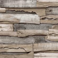 karakter hout 92501 behang Hookedonwalls