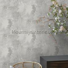 Plain 3 gewolkt betonlook behang 92507 Industrieel Hookedonwalls