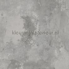Plain 3 gewolkt betonlook behang Hookedonwalls Industrieel 