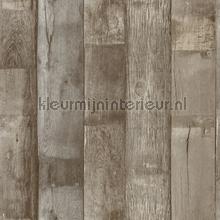 Plain 5 houtwand wallcovering 92514 wood Hookedonwalls