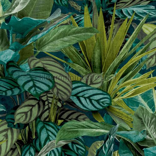 Print 1 papel de parede 92522 Trendy Hookedonwalls